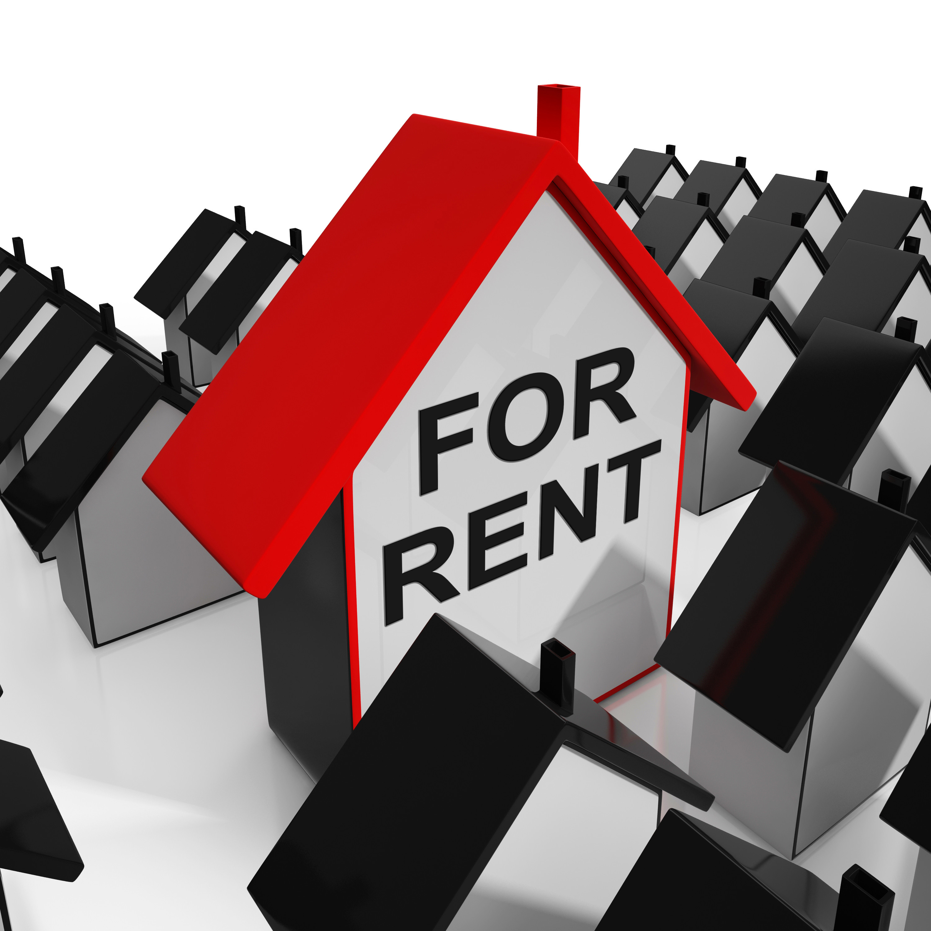 house for rent