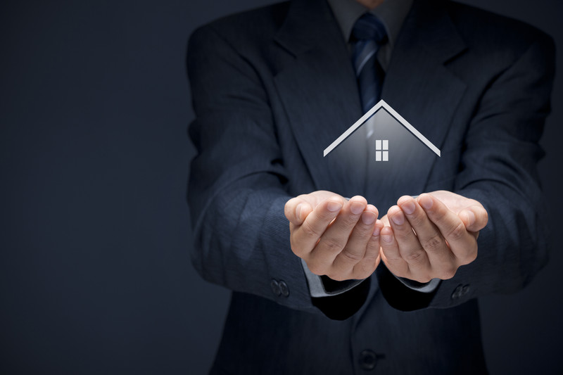 Man holding model house